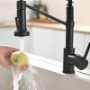 Single Handle Pull Down Sprayer Kitchen Faucet in Black