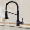 Single Handle Pull Down Sprayer Kitchen Faucet in Black