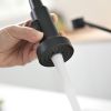 Single Handle Pull Down Sprayer Kitchen Faucet in Black