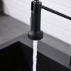 New Single Handle Pull-Out Sprayer Kitchen Faucet