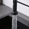 New Single Handle Pull-Out Sprayer Kitchen Faucet