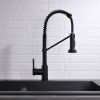 New Single Handle Pull-Out Sprayer Kitchen Faucet
