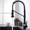 New Single Handle Pull-Out Sprayer Kitchen Faucet